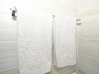 Linden Gap Guesthouse - Orchard Cottage 018 Web